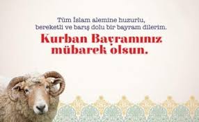 Bu sayfada kurban bayramı için mesajlar, resimli kurban bayramı mesajları, etkileyici kurban bayramı. Qiiqysaxzvybdm