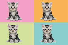 Remove the background of an image. Remove Background From Image Remove Bg