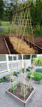 Resultado de imagem para bamboo garden edging. Top 21 Easy And Attractive Diy Projects Using Bamboo Amazing Diy Interior Home Design