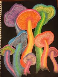 Colour Pencil Mushrooms Back Ground In India Ink Mushroom Drawing Oil Pastel Art Oil Pastel Drawings