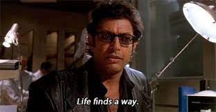 The Story Of Egypt S Revolution In Jurassic Park Gifs Jurassic Park Quotes Jurassic Park Jurassic World 2