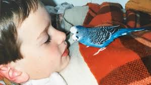 Why David Farrier's new film Mister Organ forced him to escape New Zealand 