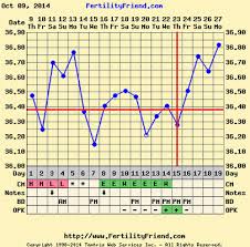 Blood Test For Progesterone Levels Does It Really Matter