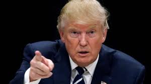 Lado Alterno Archivos