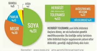 Gdo Nedir Ne Degildir Ulkemizdeki Politikalar Nedir Bilimselanne Com Politika Genetik Ot Ilaci