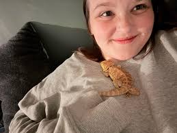 Bearded dragon becoming comfortable with owner