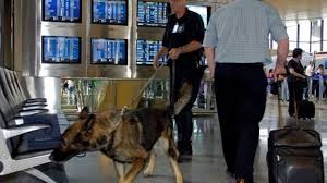 « je vous lis, je vous suis, je vous écoute et je voulais vous dire ceci. L Aeroport De Zaventem Sans Chien Detecteur D Explosifs