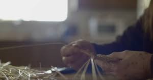 Bildergebnis für Yvonne Koolmatrie