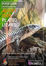 Hotellit lähellä paikkaa melaka butterfly and reptile sanctuary. Be The Guardian Of The Animals Adopt Our Animals In Melaka Butterfly Reptile Sanctuary