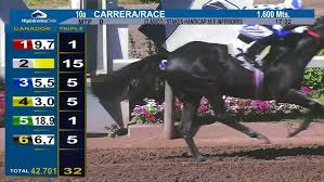 Image result for Handic 1600