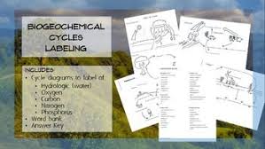Water Oxygen Carbon Nitrogen And Phosphorus Cycles Labeling Cycle Guided Notes High School Biology
