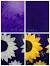 Painted Binders