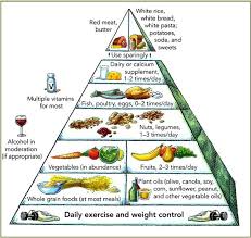 Healthy Food Pyramid Chart Healthy Eating Pyramid Diet