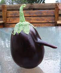 16 funny shaped fruits and vegetables that forgot how to be plants different fruits and vegetables funny vegetables funny fruit