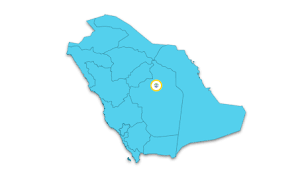 Saudi Ports Authority