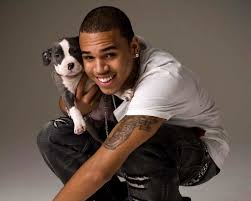 You can find on this page high quality (hd / 4k). Chris Brown Wallpapers Hd Download Free Backgrounds