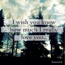 I Wish You Knew How Much I Love You Quotes I Wish U Knew How Much I Love You I Really Love You Love You Love Quotes Tumblr