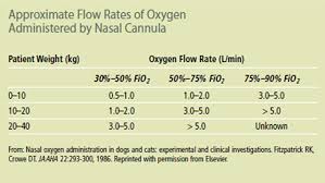 3 lpm = 20% + (3 x 4%) = fio2 of 32%. Respiratory Support For Acute Intensive Care Clinician S Brief