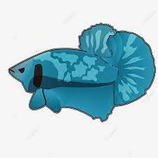 Maybe you would like to learn more about one of these? Gambar Ikan Cupang Png Vektor Psd Dan Clipart Dengan Latar Belakang Transparan Untuk Download Gratis Pngtree