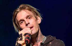 Aaron Carter in spat with Maldivian artist over 'stolen art'