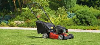 Lawn boy gold series service. Best Gas Lawn Mowers In 2020 Self Propelled Comparison Tool