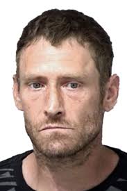 Potter County fugitive wanted for drugs, assault captured by police