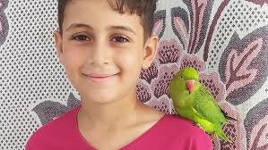 Fundraiser by Nada AlQaisi : Hunger and War