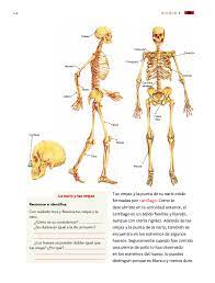 We did not find results for: Ciencias Naturales Tercer Grado 2017 2018 Pagina 14 De 154 Libros De Texto Online