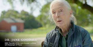 An Interview with Jane Goodall