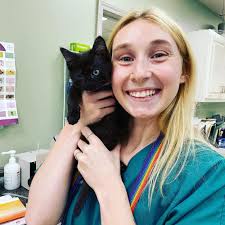 THE BEST 10 EMERGENCY PET HOSPITAL near CORDOVA, MEMPHIS, TN