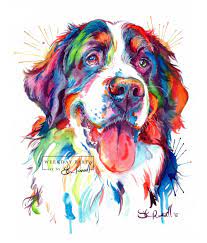Burnese Mountain Dog Bright And Colorful Art Print Free Etsy Dog Paintings Animal Art Colorful Dog Paintings