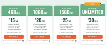 No stores or salespeople, no overages or contracts. Mint Mobile Review Now 15 A Month For 4 Gb 20 A Month For 10 Gb 5g Lte Data My Money Blog