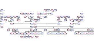 Excel Ilyas Kose