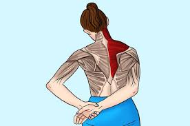 Maybe you would like to learn more about one of these? 7 Hal Yang Bisa Meredakan Sakit Pada Leher Dan Bahu Mudah Dilakukan Kok Semua Halaman Intisari