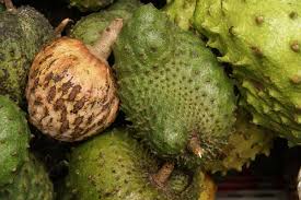 Image result for Annonaceae