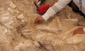 Nicole Dobrikov's wild side - she holds nothing back