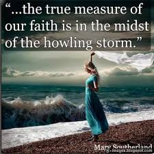 The True Measure Of Our Faith Is In The Midst Of The Howling Storm Quotes