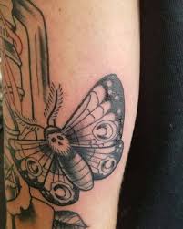 Started this piece a couple weeks ago. Thanks for looking! #art #artist  #tattoo #tattooart #tattooartist #ink #inked #inkedup #813 #727 #666 #cat  #cats #rose #neotraditionaltattoo #followforfollow ...