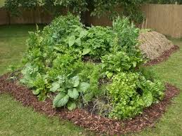 Hugelbeete Anlegen Hugelbeet Garten Pflanzen Pflanzen