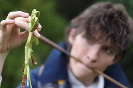 Cosplay is Life, Life...