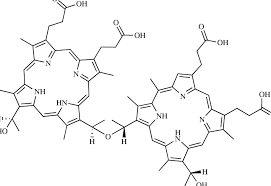 Image result for Porfimer