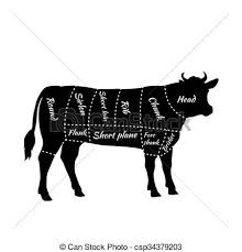Scheme Of Beef Cuts For Steak And Roast