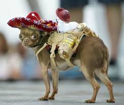 Check spelling or type a new query. Mexican Funny Home Facebook