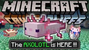 Axolotls have entity data associated with them that contain various properties. Minecraft The Axolotl Is Here New Mob Snapshot 20w51a Cave Update Preview Youtube
