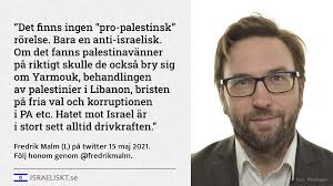 Fredrik Malm om avsaknaden av "pro-palestinsk" rörelse