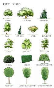 Maybe you would like to learn more about one of these? Winter Hill Tree Farm How To Choose Your Tree
