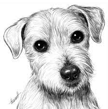 pin on drawing