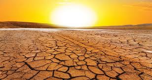 Deserto Brasileiro A desertificação já alcança a marca 18,7 mil km² em  território nacional. - Portal Neo Mondo
