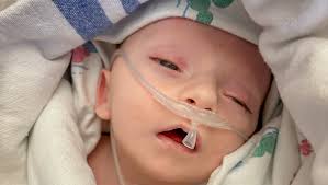 Fundraiser for Hailey Starkey by Stephanie Paul : In Loving Memory of  Zedekiah and his journey with CRELD1