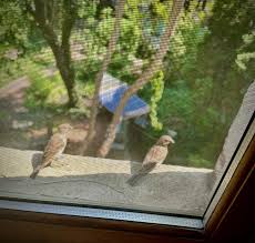 Benjamin Kende Photography...